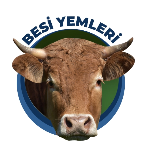 Besi Yemleri