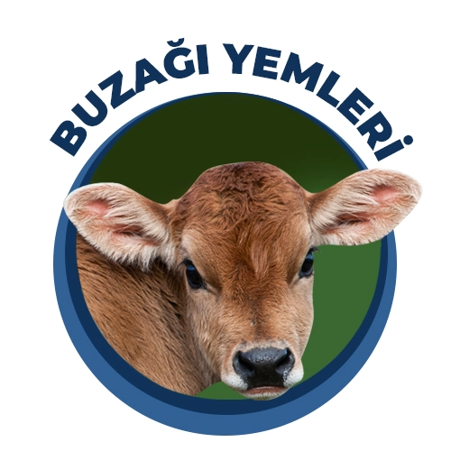 Buzağı Yemleri