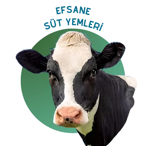 Efsane Süt Yemleri