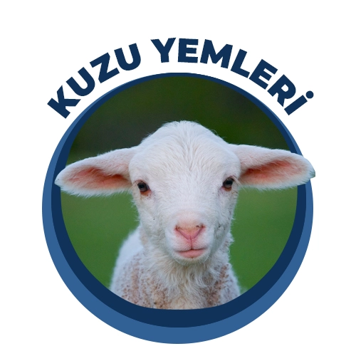 Kuzu Yemleri