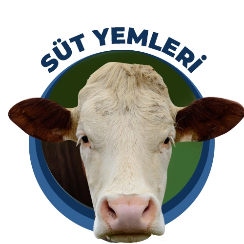 Süt Yemleri